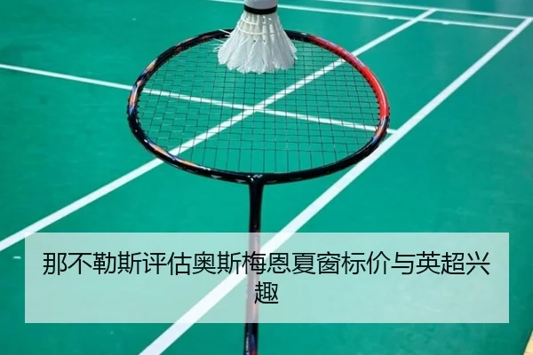 那不勒斯评估奥斯梅恩夏窗标价与英超兴趣